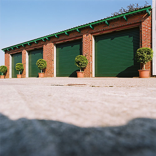 Dennengroen